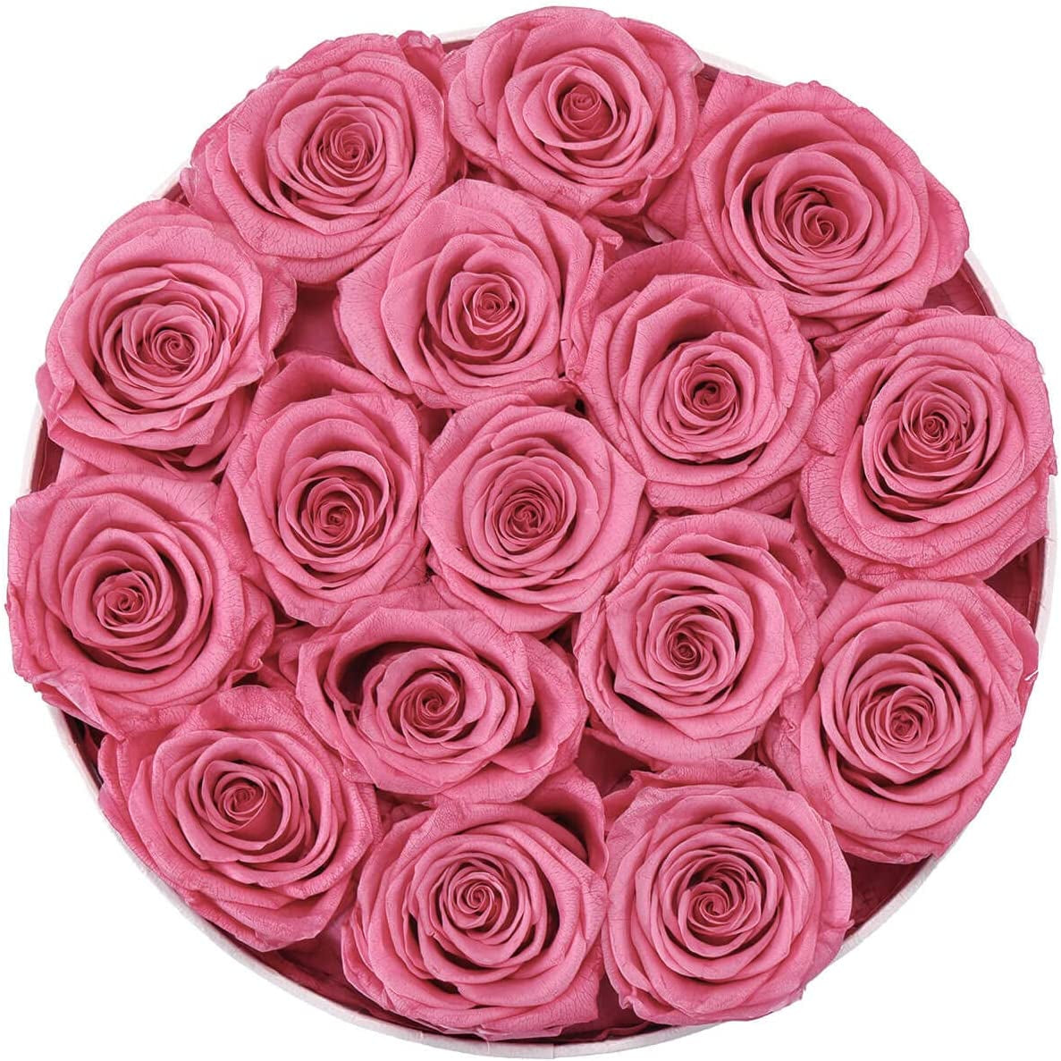 16-Piece Forever Flowers Preserved Rose in a Box Real Roses That Last a Year Preserved Flowers for Delivery Prime Mothers Day Valentines Day Christmas Day (Pink Roses, round White Box)